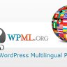 WPML Multilingual CMS WordPress Plugin