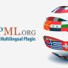 WPML Ninja Forms Multilingual Addon