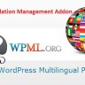 WPML Translation Management Addons